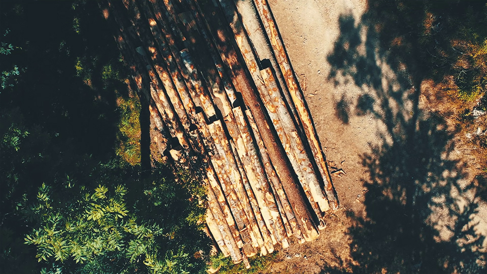 La traçabilité chez Bois des Alpes