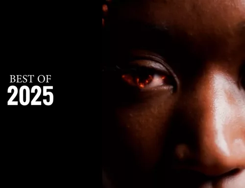 Best of 2025 Colibri Vidéo