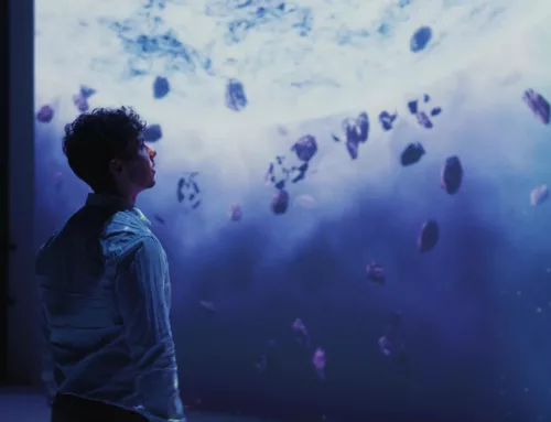 Linksium – Cérémonie DeepImpact 2025